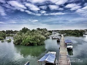 Siapa Sangka Bekasi Punya Hutan Bakau Secantik Ini