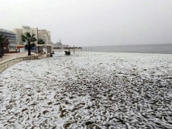 Mau Liburan ke Pantai, Eh.. Malah Tertutup Salju