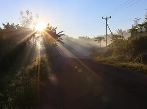 Selamat pagi dari Flores
