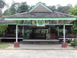 Hutan Wisata Pengusir Jenuh: Bukit Bangkirai