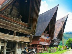 Favorit Turis Jerman, Desa Berumur Ratusan Tahun di Samosir