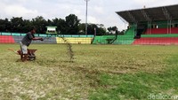 Ada pekerja yang terlihat memberikan pupuk agar rumput lapangan cepat tumbuh.