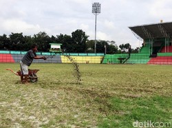 Ada pekerja yang terlihat memberikan pupuk agar rumput lapangan cepat tumbuh.