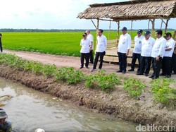 Ular Mungil dan Kaos Terbang Saat Jokowi Sambangi Banyuasin