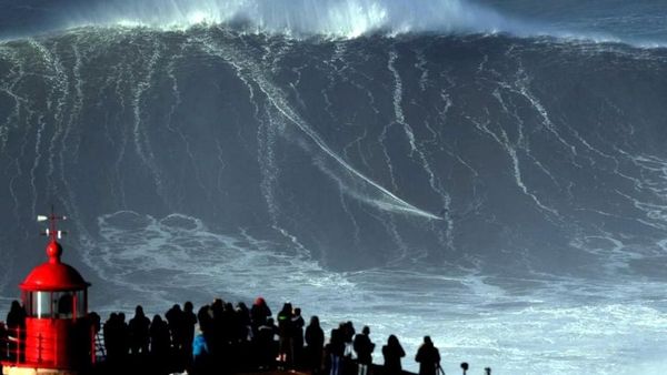 Foto: Ombak yang Dijuluki Monster