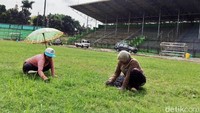 Di tengah lapangan, tempat pertandingan nanti terfokus, ada perawatan rumput.