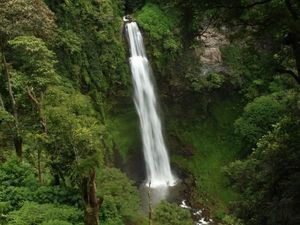 Cantiknya Curug Tertinggi di Jawa Barat