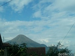 Lereng Penanggungan Terbakar, Pendaki Dilarang ke Puncak