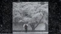 Foto: Istana Kaisar Jepang Memutih karena Salju