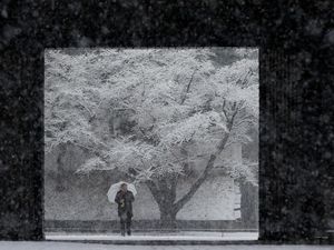 Foto: Istana Kaisar Jepang Memutih karena Salju