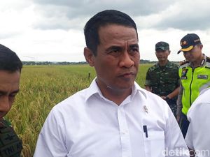 Mentan: Jangan Lagi Ada Polemik Swasembada Daging Sapi