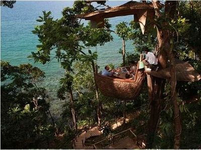 Mengintip 8 Restoran Unik di Dunia Bernuansa Hutan hingga Air Terjun