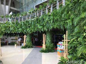 Aneka Tanaman Hijau Hiasi Lokasi Ultah ke-71 Megawati