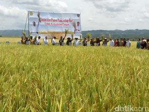 Mentan Dicurhati Bupati Kudus yang Minta Jangan Impor Beras
