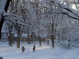 Salju Lebat di Tokyo, Ribuan Orang Terjebak di Bandara dan 180 Luka