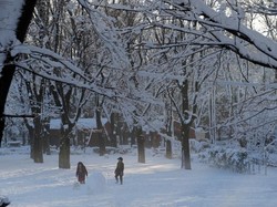 Salju Lebat di Tokyo, Ribuan Orang Terjebak di Bandara dan 180 Luka