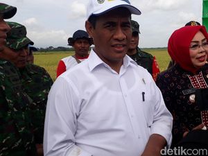 Turun ke Sawah hingga Naik Helikopter, Mentan Cek Panen di Jateng
