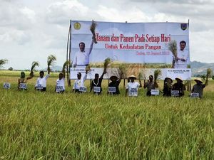 Naik Traktor hingga Masuk Sawah, Mentan Cek Panen Padi di Jatim-Jateng