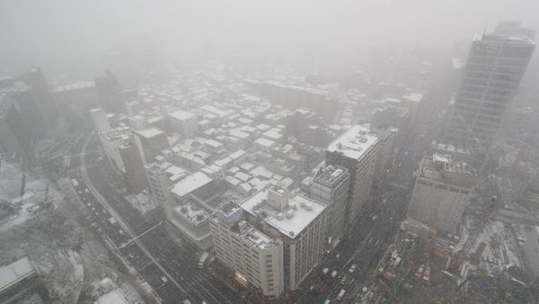 Foto: Tokyo Diselimuti Salju Tebal yang Langka
