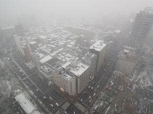 Foto: Tokyo Diselimuti Salju Tebal yang Langka