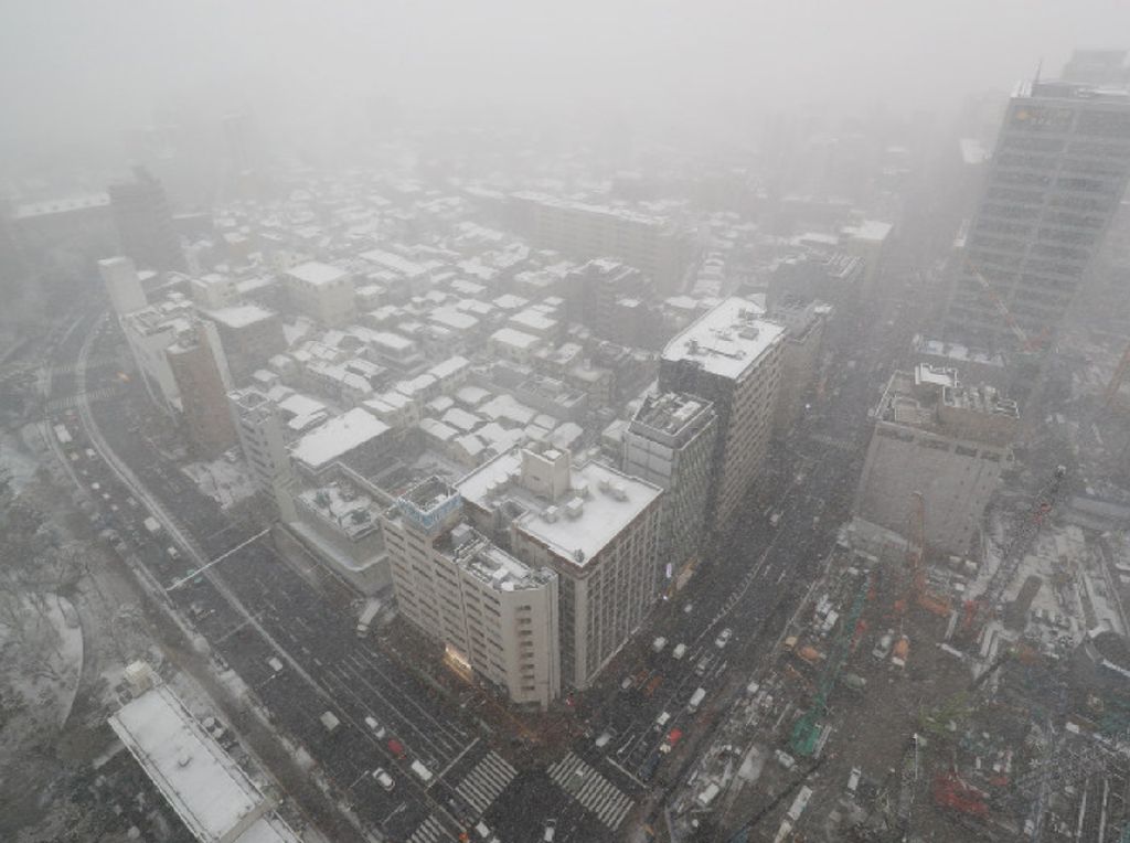 Foto: Tokyo Diselimuti Salju Tebal yang Langka Foto: Tokyo Diselimuti Salju Tebal yang Langka