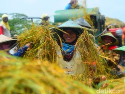 Harga Beras di Lamongan Naik, Pedagang Minta Pemerintah Tidak Impor