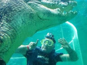 Berenang Bareng Buaya, Alat Vital Pria Ini Tidak Sengaja Tampak