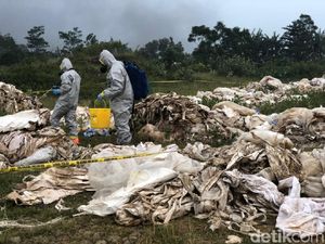 Tim KLHK Selidiki 78 Ton Karung Beracun di Karawang Tim KLHK Selidiki 78 Ton Karung Beracun di Karawang