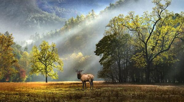 Karya Memukau Jawara Kontes Foto Warna Alam