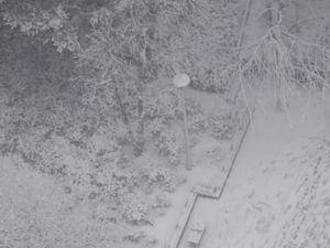 Tokyo Alami Suhu Terdingin dalam 48 Tahun