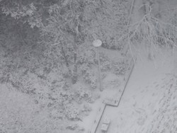 Tokyo Alami Suhu Terdingin dalam 48 Tahun