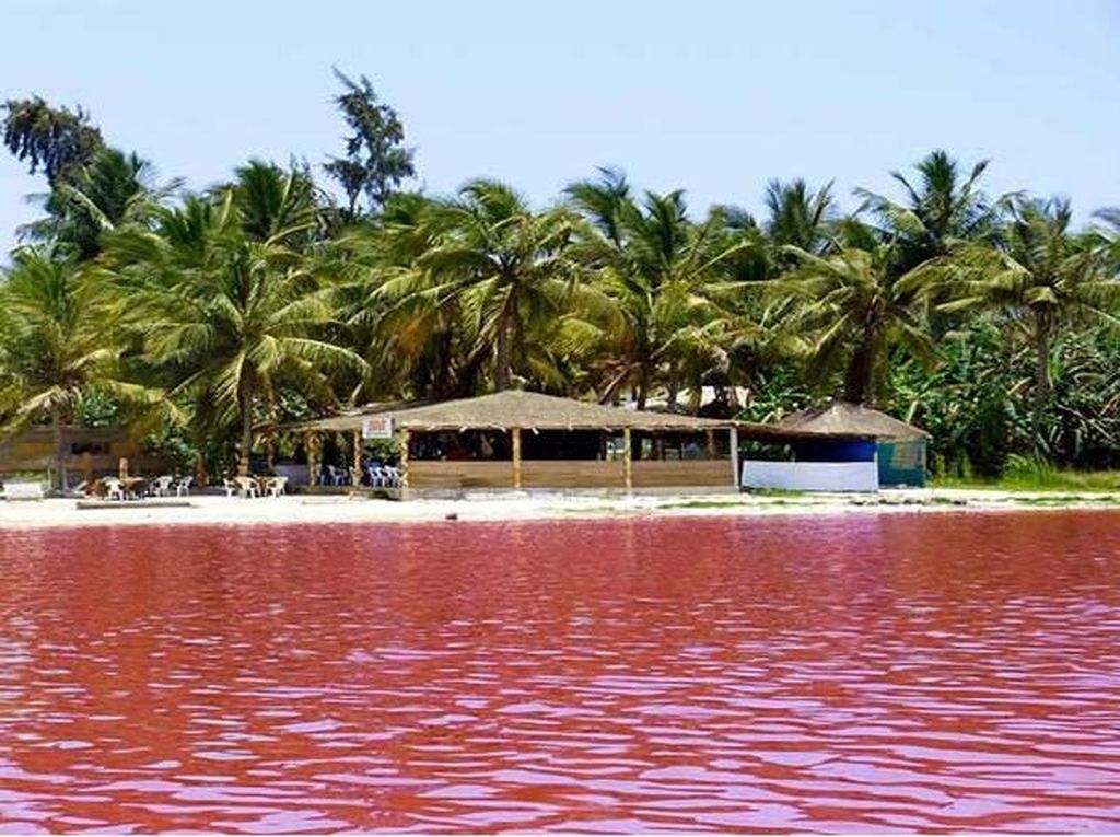Foto: Tahu Danau Pink Ini Nggak?