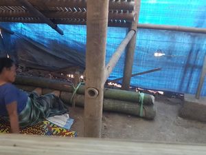 Sering Mengamuk, Ibu 8 Anak Ini Terpaksa Dipasung Suaminya