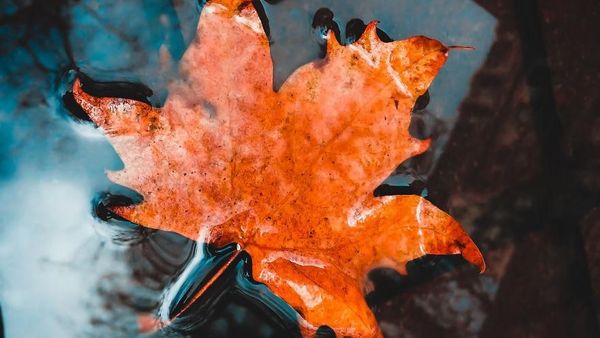 Bermodal iPhone Jadul, Remaja Ini Ciptakan Foto Ciamik