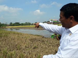 Panen Padi di Jateng, Mentan Jajal Drone Pertanian