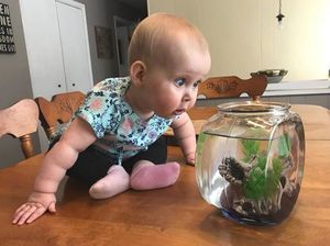 Lihat, Bun, Kelakuan para Batita Ini Bikin Gemas