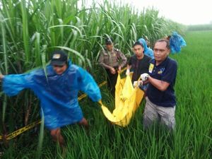 Mayat Dalam Kondisi Terbakar Ditemukan di Kebun Tebu Kediri