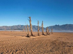 Prakiraan BMKG: Tahun Ini Sebagian Jateng Alami Kemarau 7 Bulan