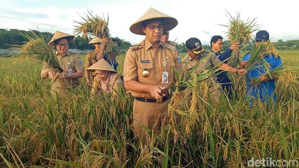 Mengintip Gaya Blusukan Anies di 100 Hari Kepemimpinannya