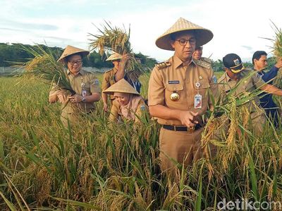 Mengintip Gaya Blusukan Anies di 100 Hari Kepemimpinannya
