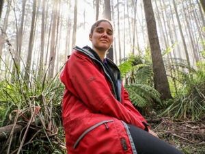 Selamatkan Hutan Tasmania, Perempuan Ini Tinggal di Pohon 449 Hari