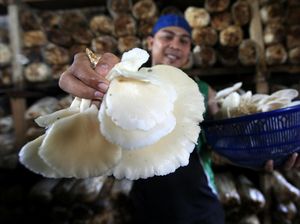 Cara Mengurus PIRT Beserta Jenis Pangan dan Biayanya