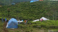 279 Rumah di Bogor Rusak Akibat Gempa, Warga Mengungsi ke Kebun Teh
