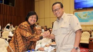 Menteri LHK-DPR Bahas Orangutan yang Ditembak dan Dipenggal di Kalteng