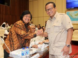 Menteri LHK-DPR Bahas Orangutan yang Ditembak dan Dipenggal di Kalteng
