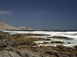 Tempat Kelahiran Alexis Sanchez