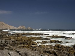 Tempat Kelahiran Alexis Sanchez