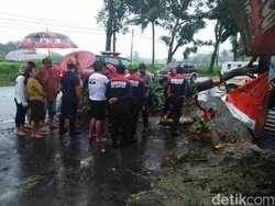 Magelang Diguyur Hujan dan Angin Kencang, Pohon dan Baliho Ambruk