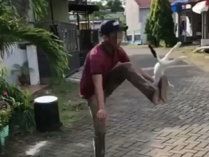 Penendang Kucing di Makassar Minta Maaf, Ini Pernyataannya Penendang Kucing di Makassar Minta Maaf, Ini Pernyataannya