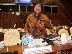 Menteri LHK Beberkan Hasil Atasi Ketimpangan Penguasaan Hutan